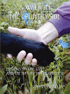cover image of A Walk in the Countryside